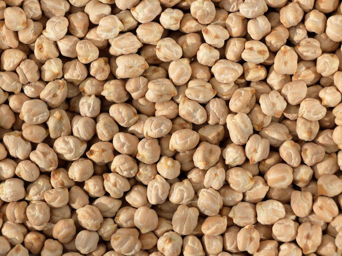 Kabuli chickpeas sourced from Pakistan
